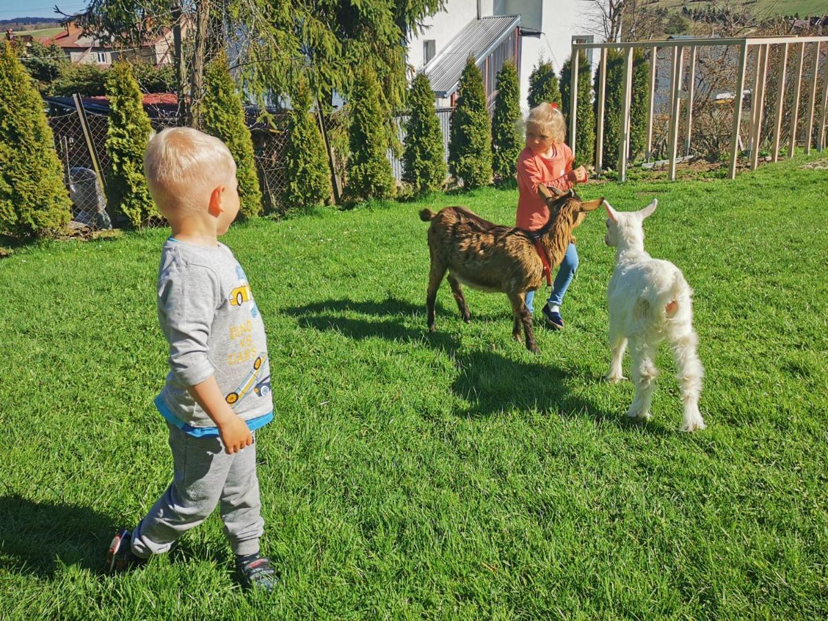 Willa Hamernik Agroturystyka Tylicz Dış mekan fotoğraf