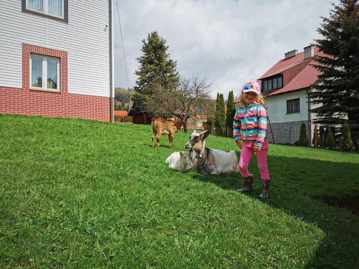 Willa Hamernik Agroturystyka Tylicz Dış mekan fotoğraf